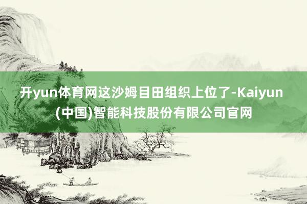 开yun体育网这沙姆目田组织上位了-Kaiyun (中国)智能科技股份有限公司官网