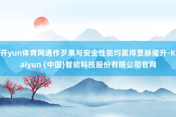 开yun体育网通作歹果与安全性能均赢得显赫擢升-Kaiyun (中国)智能科技股份有限公司官网
