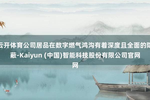云开体育公司居品在数字燃气鸿沟有着深度且全面的隐蔽-Kaiyun (中国)智能科技股份有限公司官网