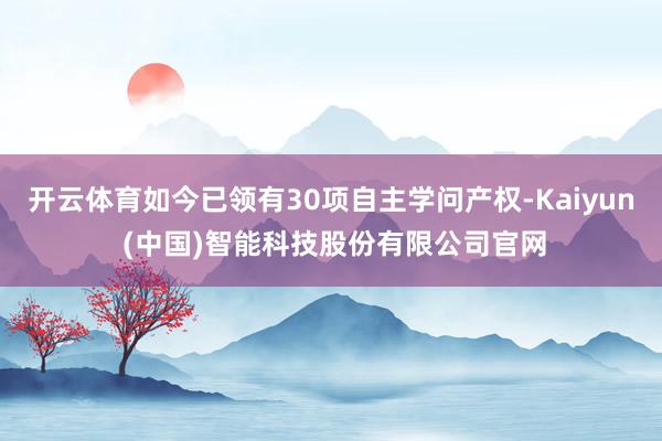 开云体育如今已领有30项自主学问产权-Kaiyun (中国)智能科技股份有限公司官网