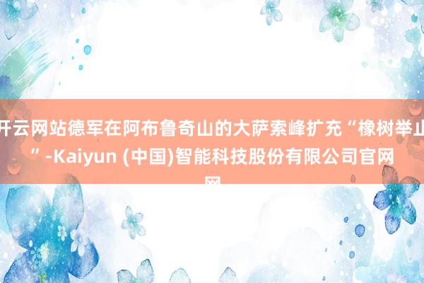 开云网站德军在阿布鲁奇山的大萨索峰扩充“橡树举止”-Kaiyun (中国)智能科技股份有限公司官网