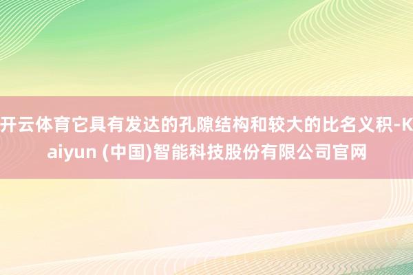 开云体育它具有发达的孔隙结构和较大的比名义积-Kaiyun (中国)智能科技股份有限公司官网