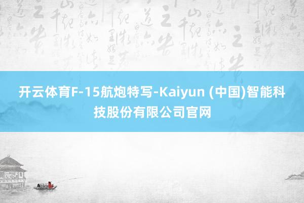 开云体育F-15航炮特写-Kaiyun (中国)智能科技股份有限公司官网