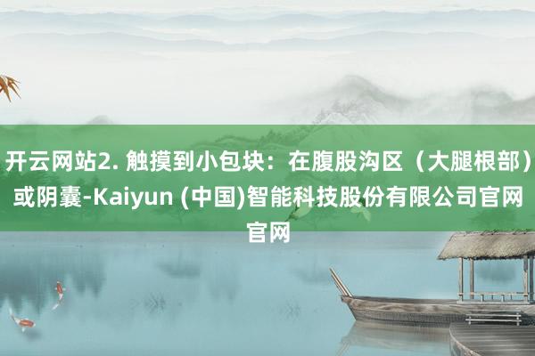 开云网站2. 触摸到小包块:在腹股沟区(大腿根部)或阴囊-Kaiyun (中国)智能科技股份有限公司官网